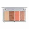 * Pur 4 In 1 Skin-Perfecting Powders Face Palette Special Palette